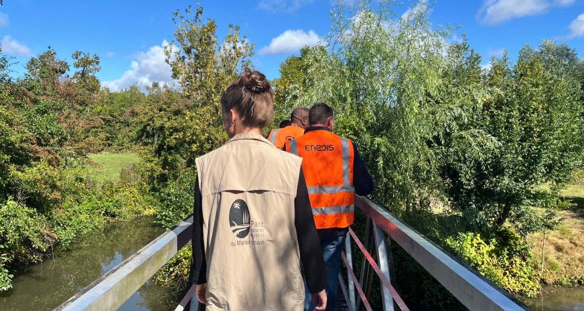 Enedis et le Parc naturel régional main dans la main