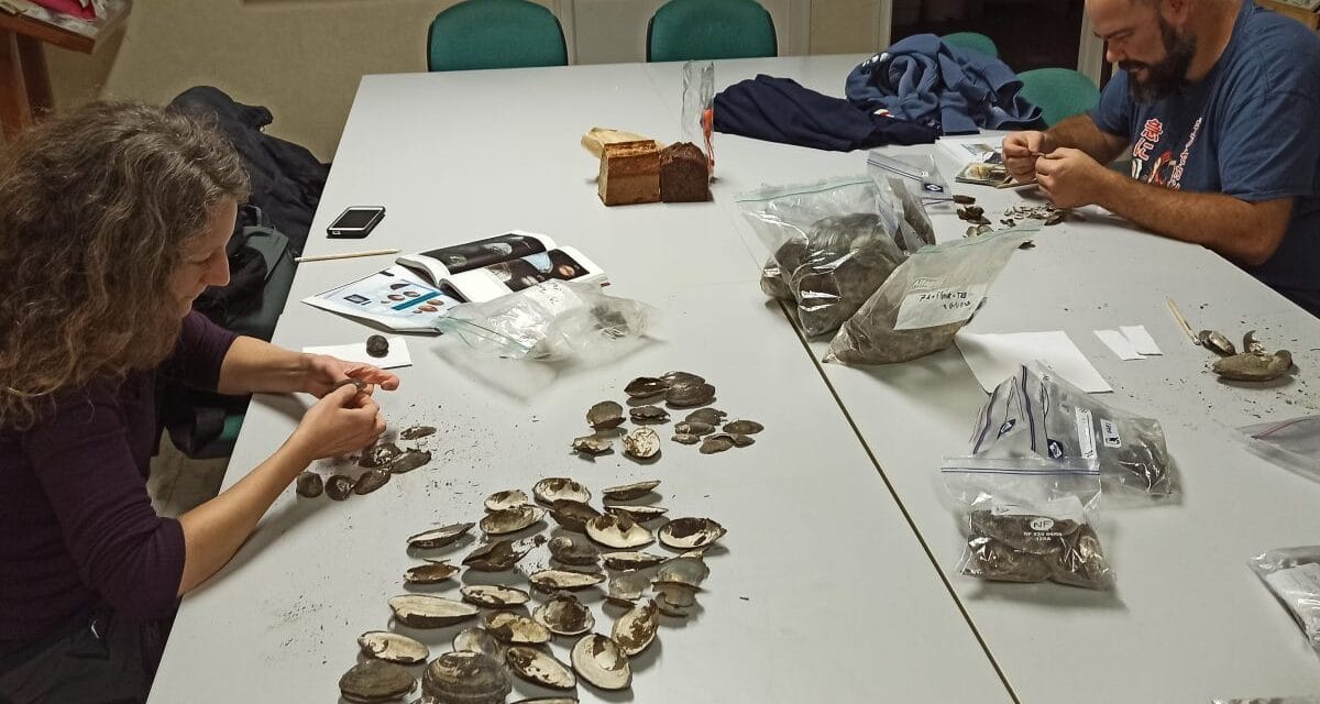 Deux-Sèvres Nature Environnement repart à la pêche aux moules