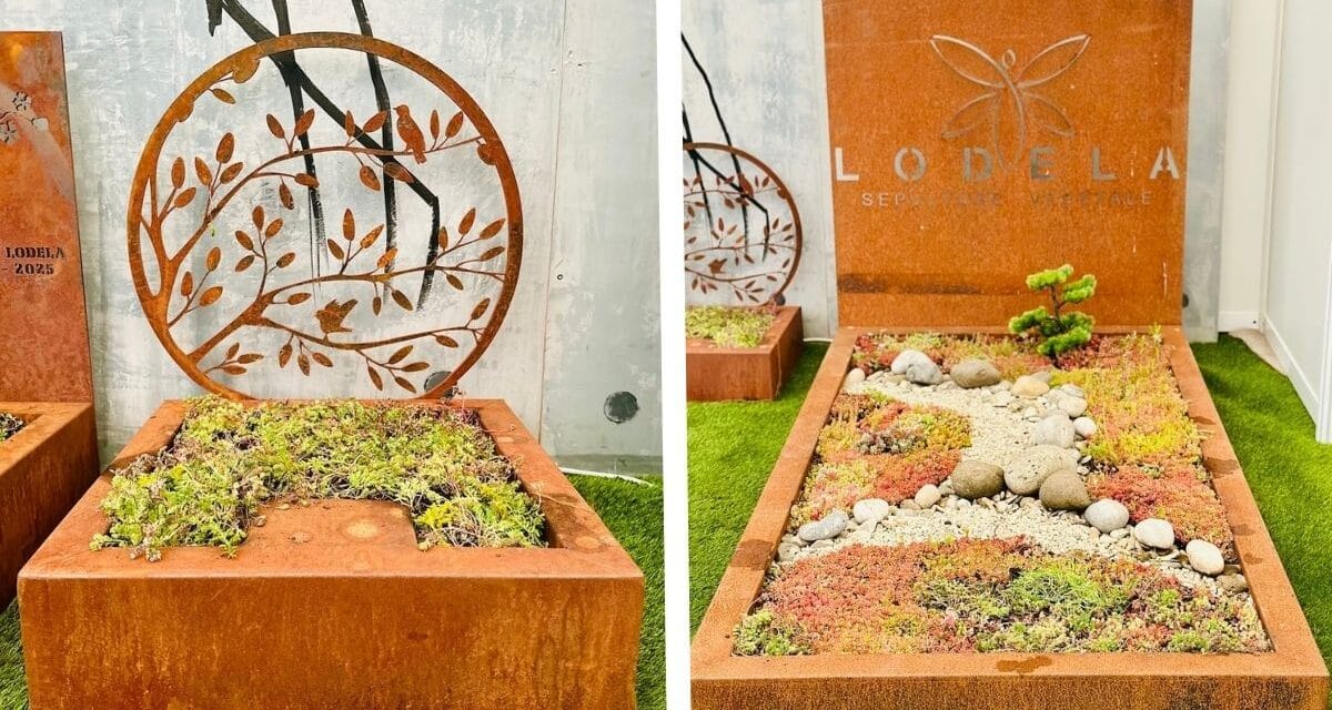 « Remettre la nature dans les cimetières », l’essor des sépultures végétales