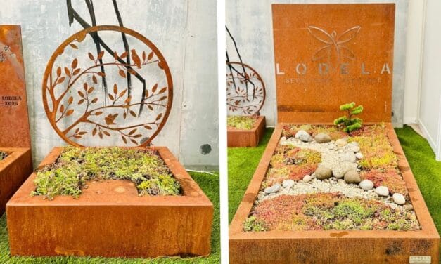 « Remettre la nature dans les cimetières », l’essor des sépultures végétales