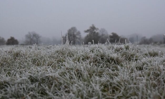 Deux-Sèvres : les premières gelées annoncées pour cette semaine