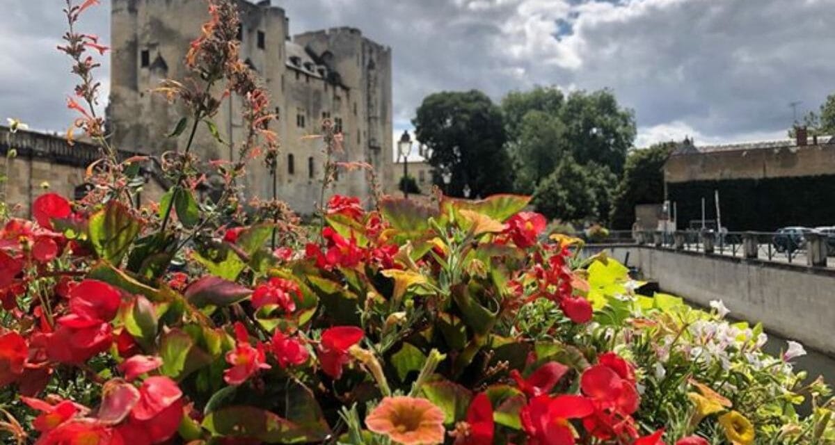 Niort, un immense bouquet de fleurs récompensé