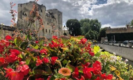 Niort, un immense bouquet de fleurs récompensé