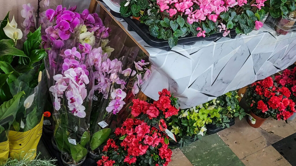 braderie secours populaire