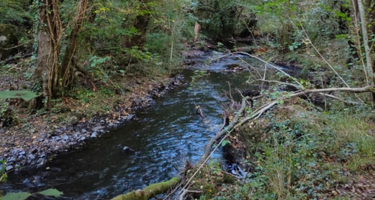 Le Chambon change de catégorie et les pêcheurs expliquent pourquoi