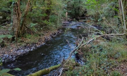 Le Chambon change de catégorie et les pêcheurs expliquent pourquoi