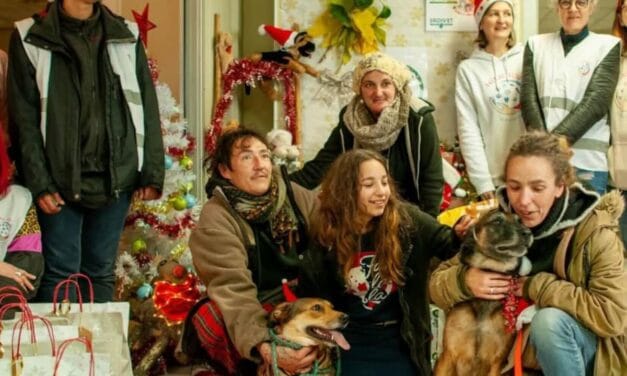 A Niort, chiens et chats ont aussi droit à un cadeau de Noël