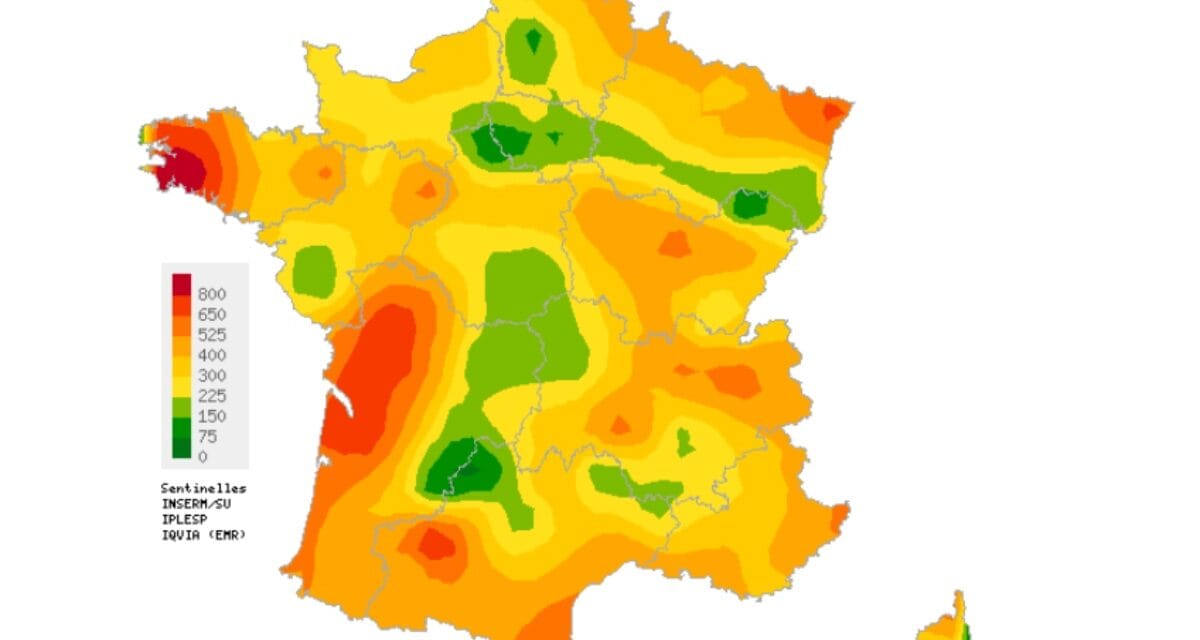 Grippes, Covid : une légère hausse des cas dans le sud des Deux-Sèvres