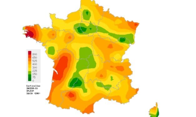 Grippes, Covid : une légère hausse des cas dans le sud des Deux-Sèvres