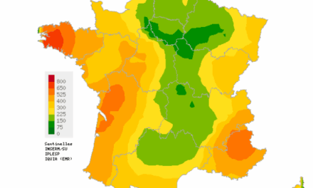 Grippe, Covid, bronchiolite : où en est-on dans les Deux-Sèvres