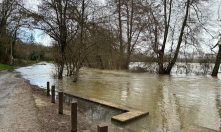 La Sèvre niortaise est sortie de son lit : le pic de la crue espéré ce week-end