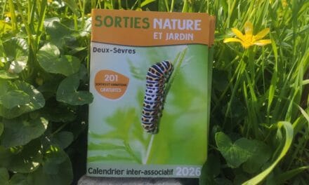Deux-Sèvres : le calendrier inter-associatif des sorties nature 2026 est disponible