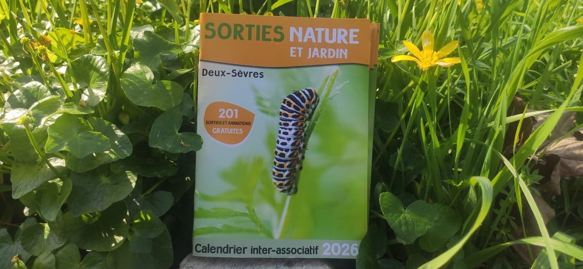 Deux-Sèvres : le calendrier inter-associatif des sorties nature 2026 est disponible