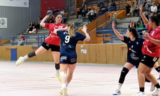 Magie et handball : un mariage inédit à la salle Barra de Niort