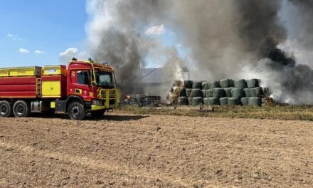 Incendies : les pompiers des Deux-Sèvres mobilisés sur plusieurs fronts