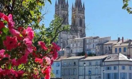 Maisons fissurées : Niort reconnue en état de catastrophe naturelle
