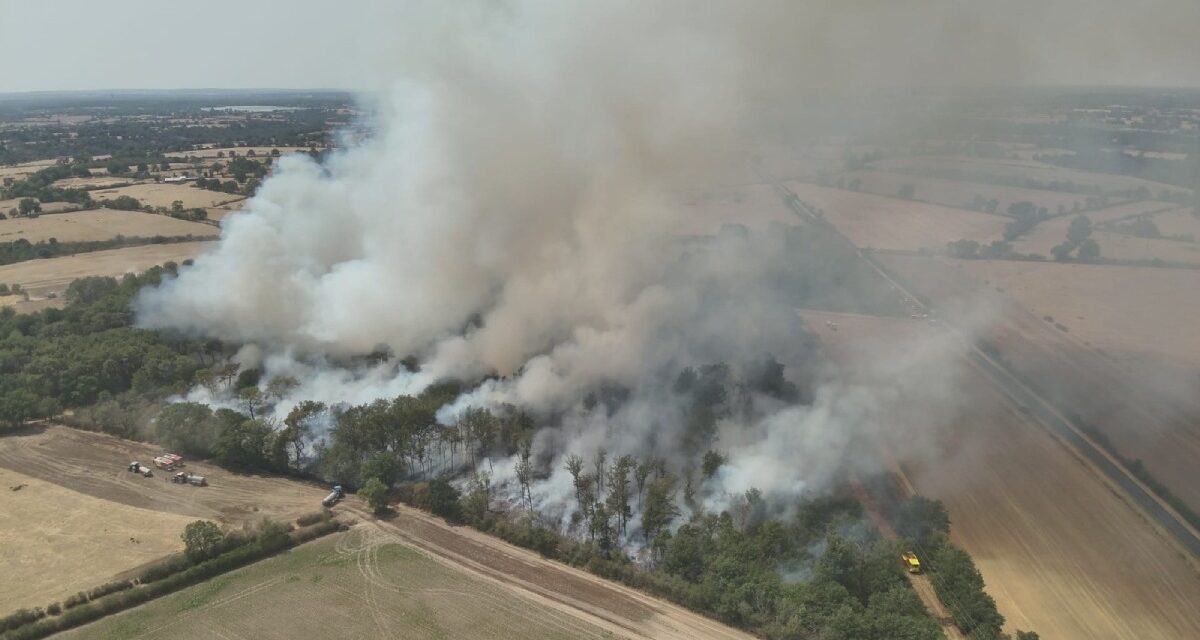 Un feu de sous bois mobilise 45 sapeurs-pompiers dans les Deux-Sèvres