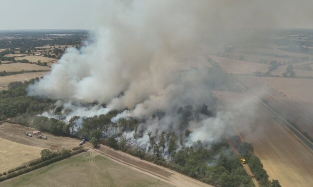 Un feu de sous bois mobilise 45 sapeurs-pompiers dans les Deux-Sèvres