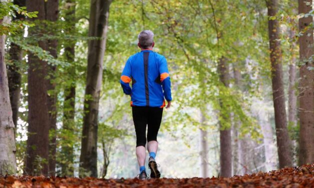 « Améliorer son quotidien » : une association veut prendre soin de la santé des séniors dans les Deux-Sèvres
