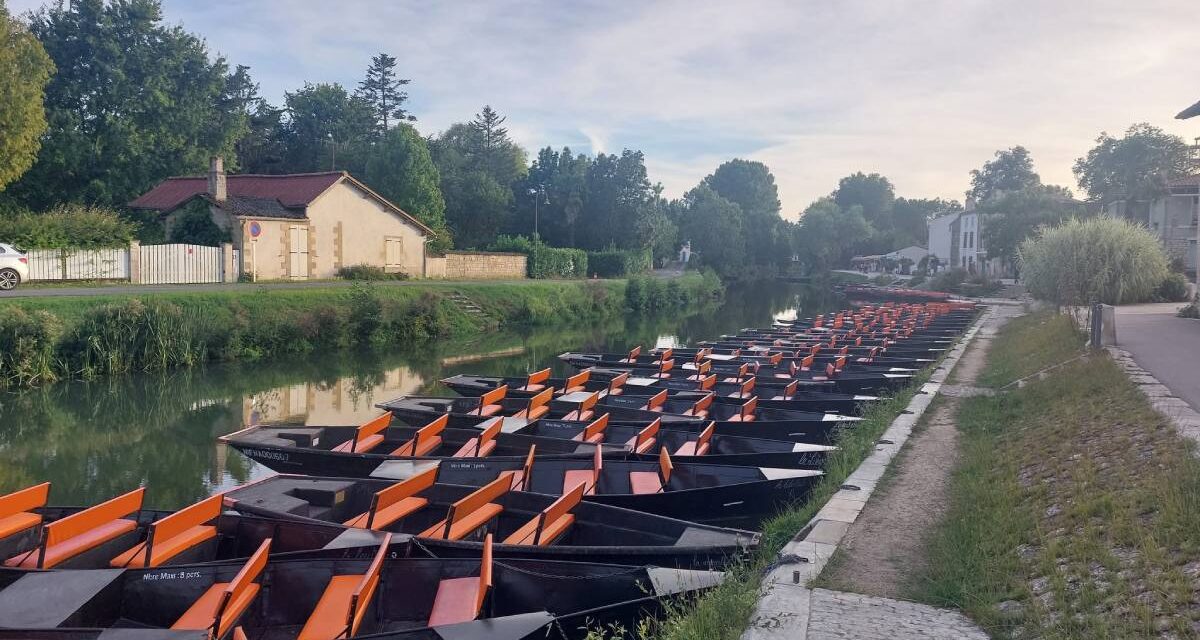 Saison touristique 2026 : quel bilan pour les Deux-Sèvres