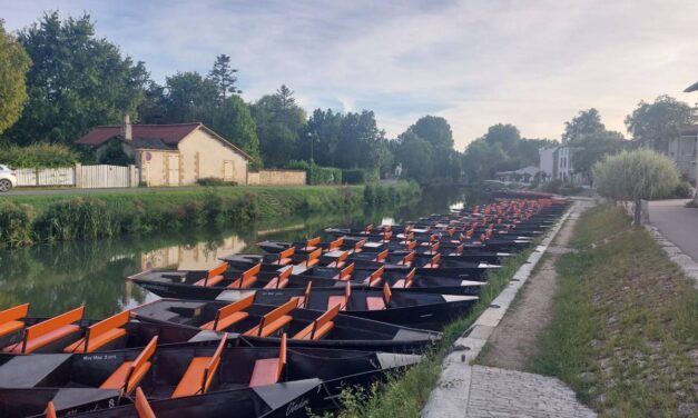 Saison touristique 2026 : quel bilan pour les Deux-Sèvres
