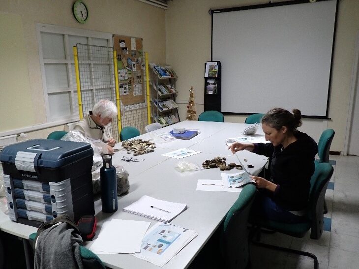 Coquilles de mulettes à identifier lors de l'atelier de Deux-Sèvres Nature Environnement